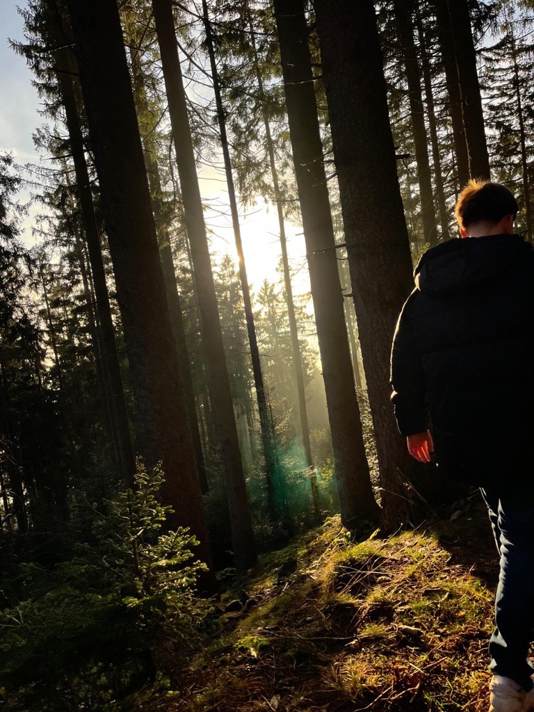 Wald
